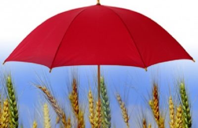 new-crop-insurance-to-be-launched-by-agriculture-minister-1434963439