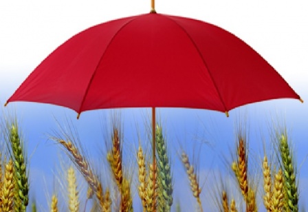 new-crop-insurance-to-be-launched-by-agriculture-minister-1434963439